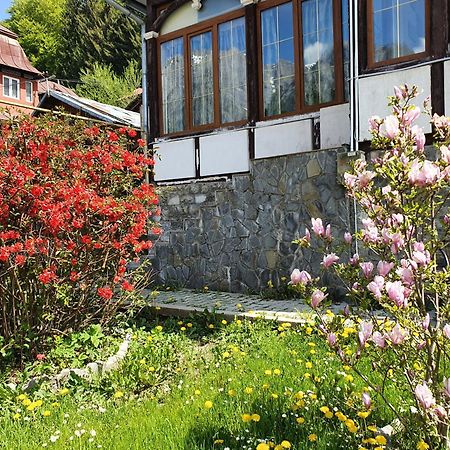 Vila Bradet Buşteni Esterno foto