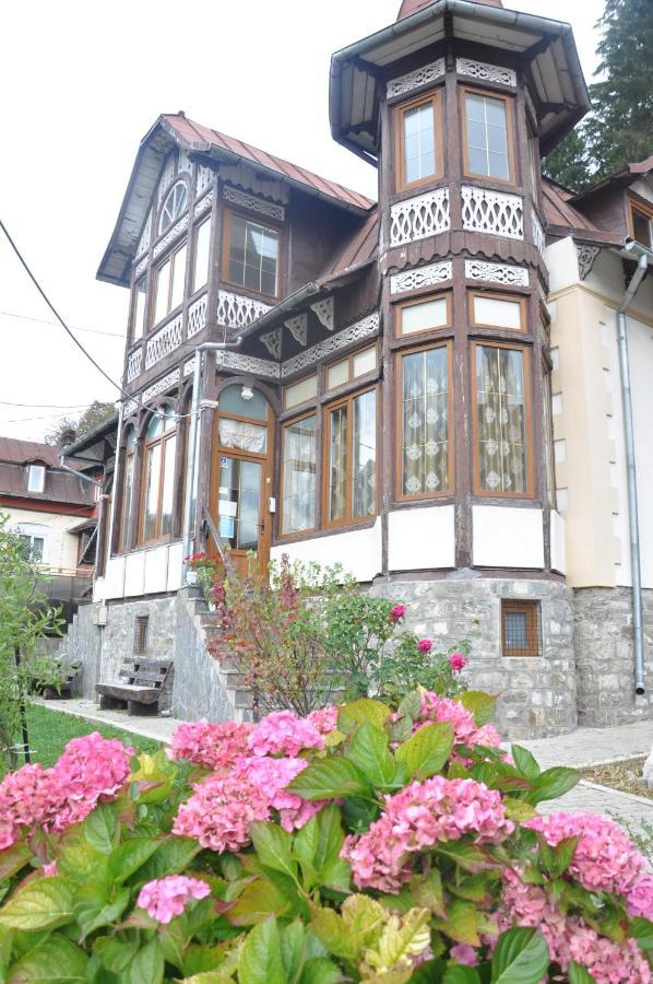 Vila Bradet Buşteni Esterno foto