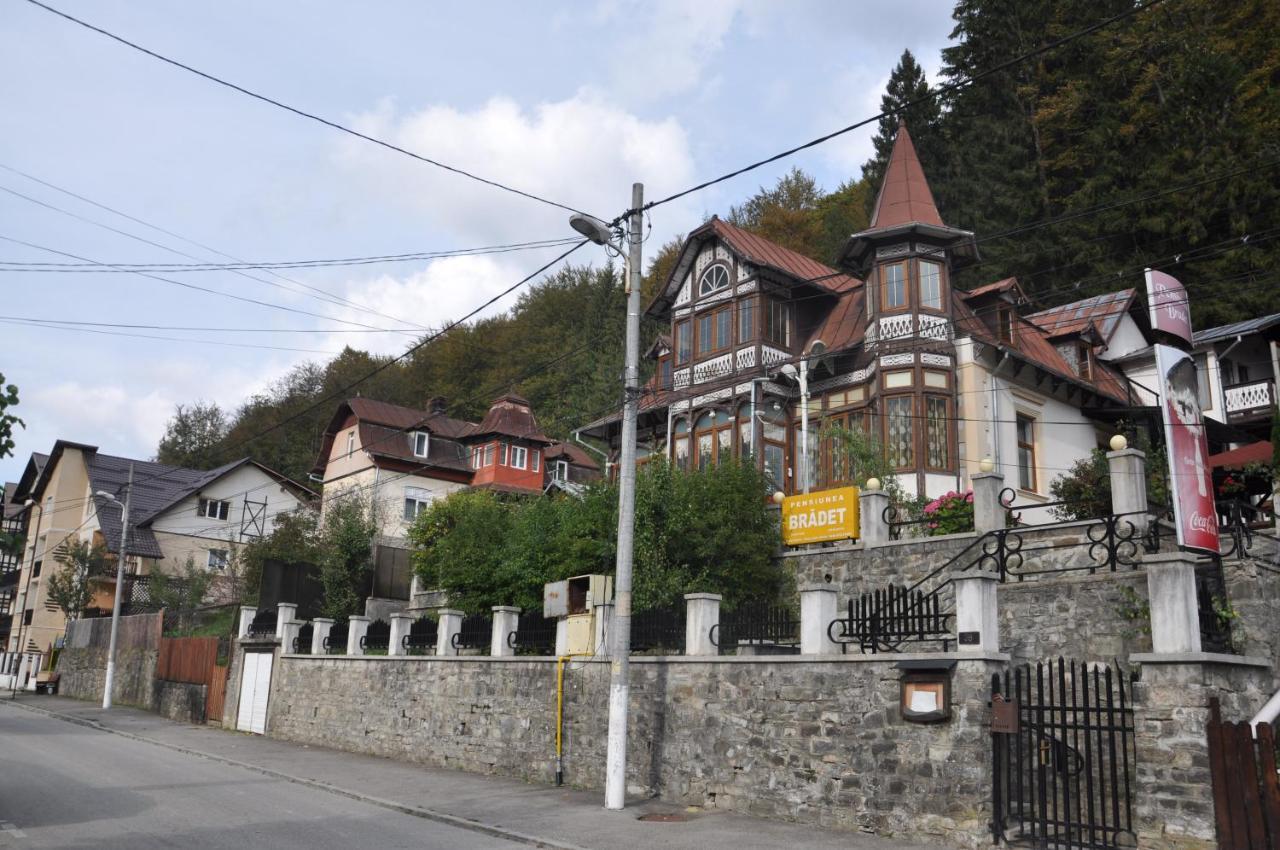 Vila Bradet Buşteni Esterno foto