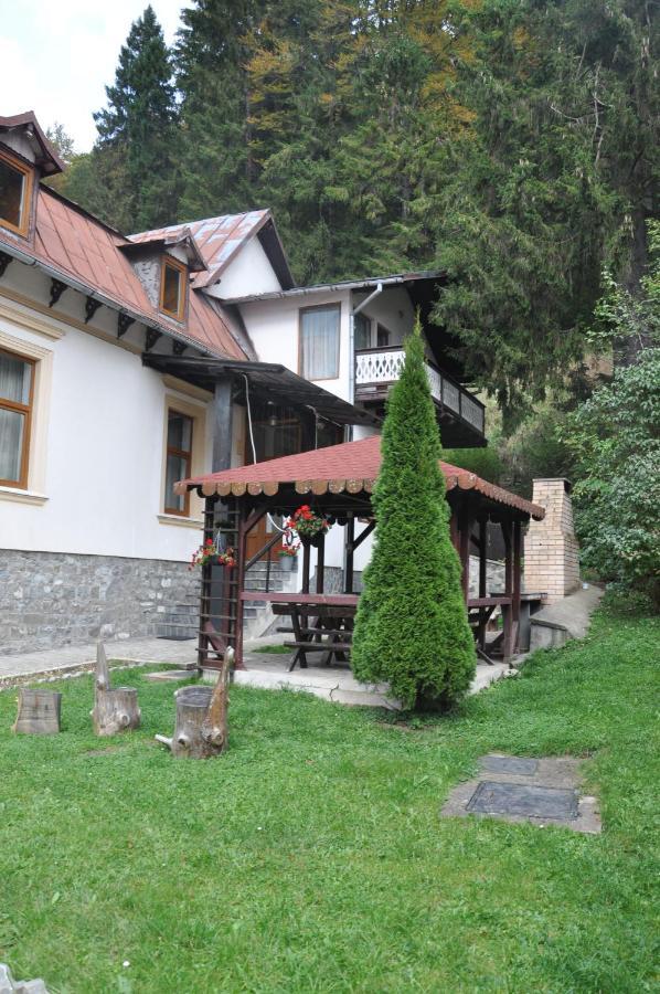 Vila Bradet Buşteni Esterno foto