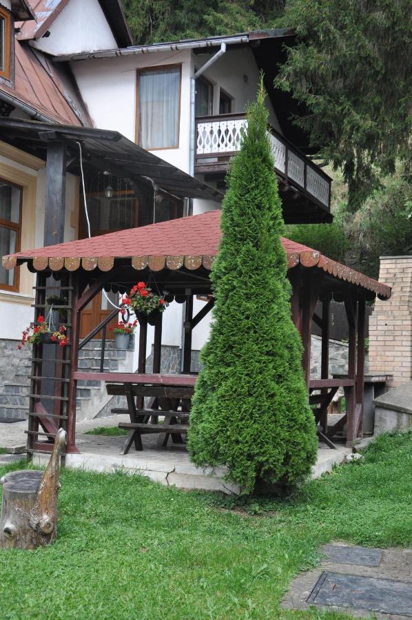Vila Bradet Buşteni Esterno foto