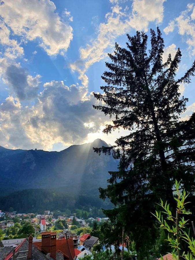 Vila Bradet Buşteni Esterno foto