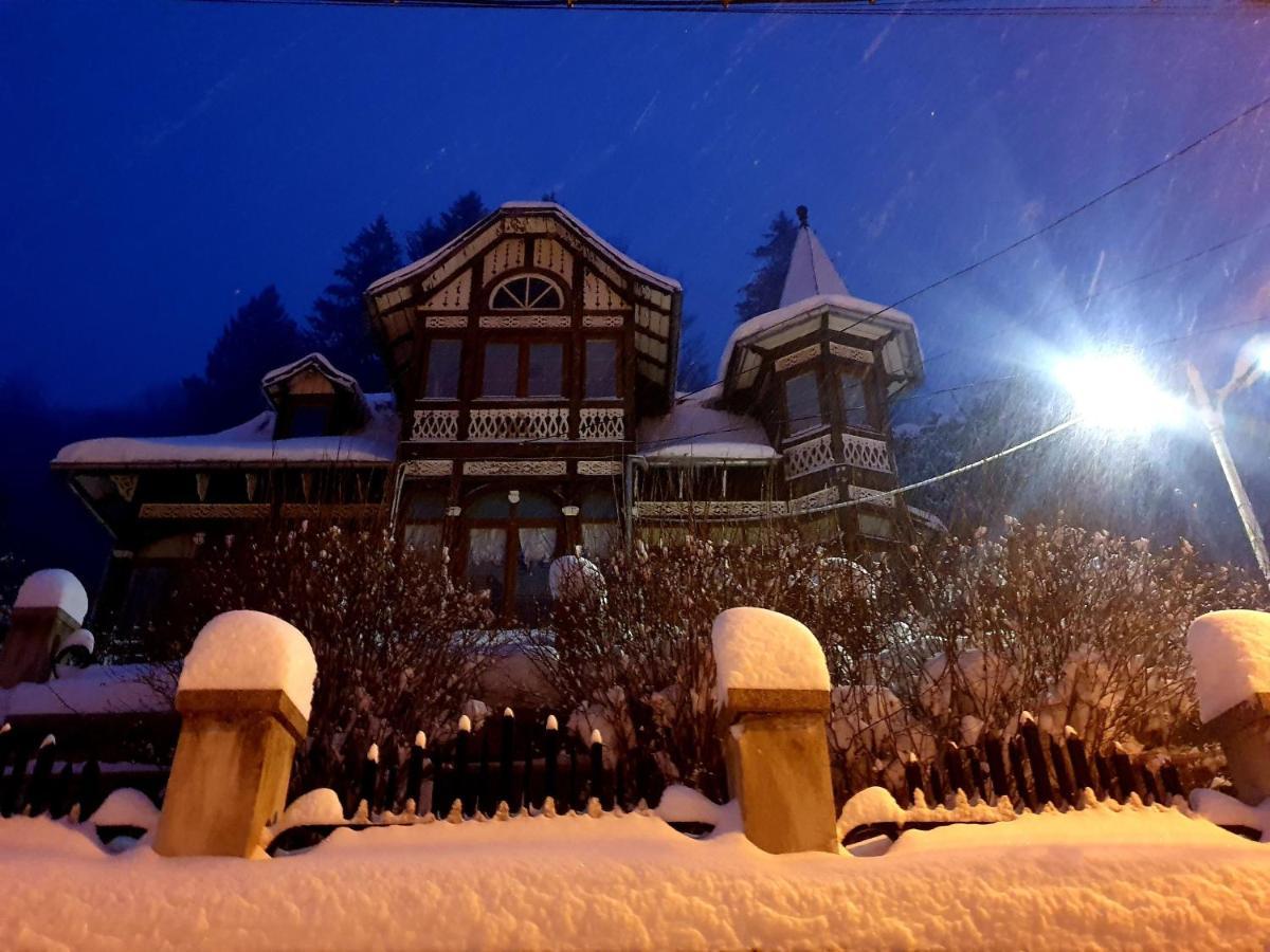 Vila Bradet Buşteni Esterno foto