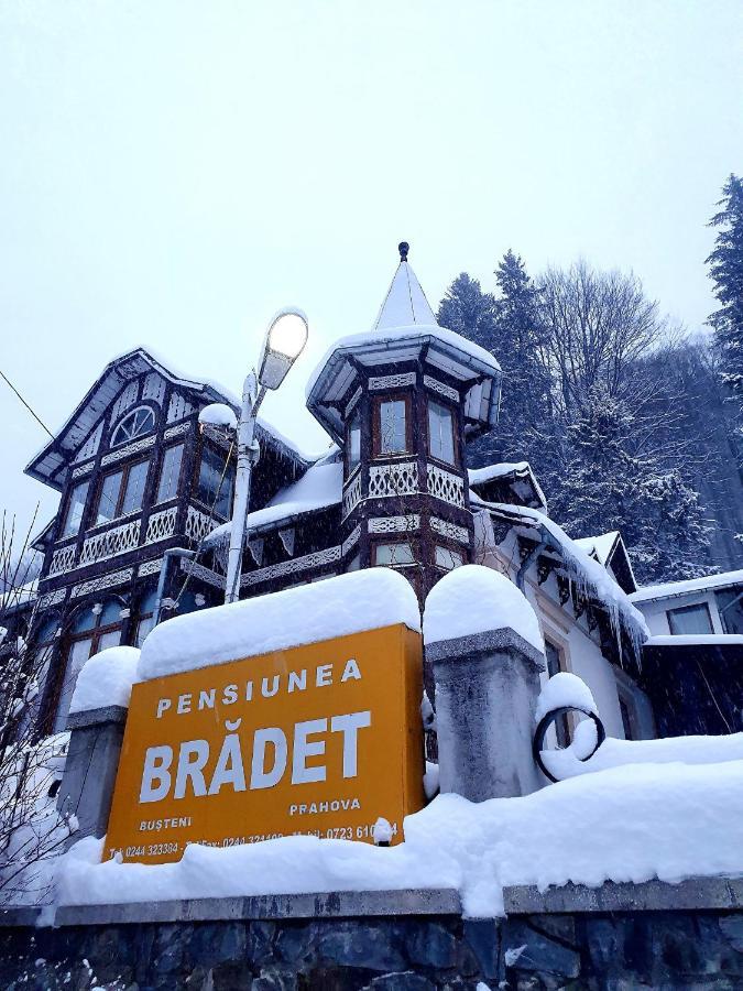 Vila Bradet Buşteni Esterno foto