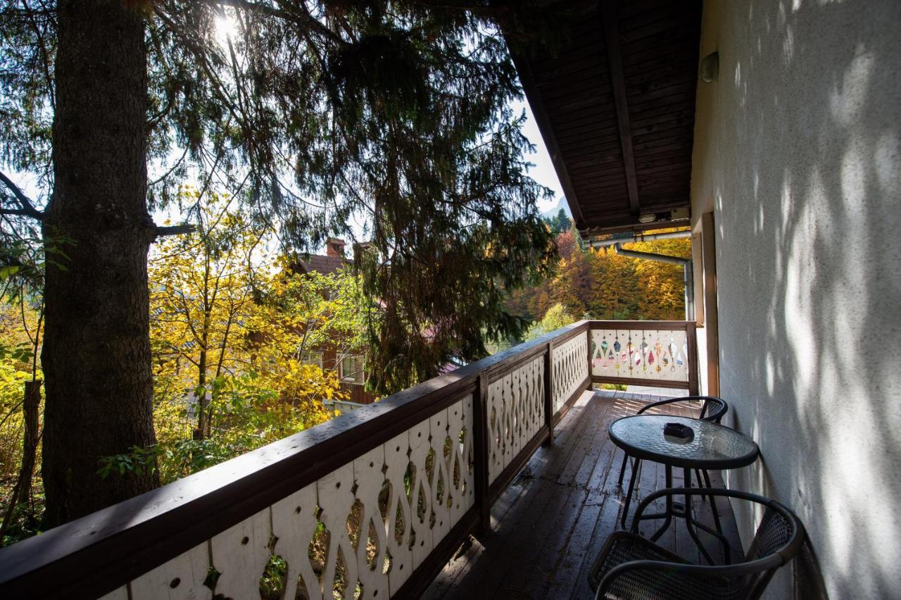 Vila Bradet Buşteni Esterno foto