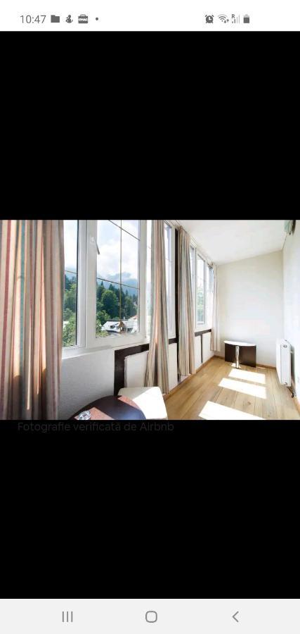Vila Bradet Buşteni Esterno foto